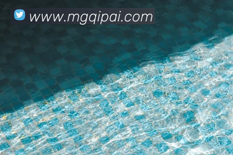 多彩内容专区